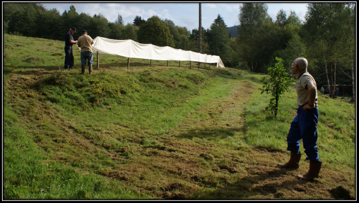 photo2011-3.jpg